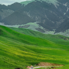 小桥流水草地牛羊 夏