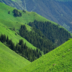 小桥流水草地牛羊 夏