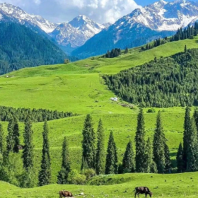 小桥流水草地牛羊 夏