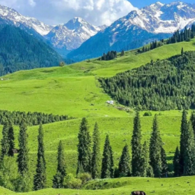 小桥流水草地牛羊 夏