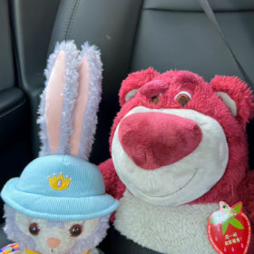 看清了很多人却不能随