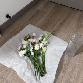 相信人 但不相信人性