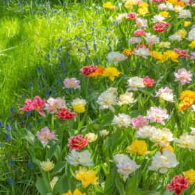 ◡̈ 四月的馈赠,是