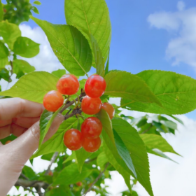 ◡̈ 四月的馈赠,是