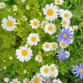 ◡̈ 四月的馈赠,是