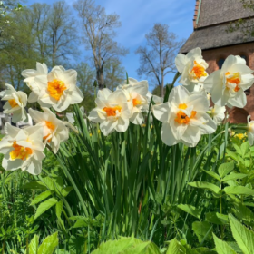 ◡̈ 四月的馈赠,是