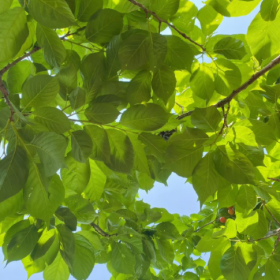 ◡̈ 四月的馈赠,是