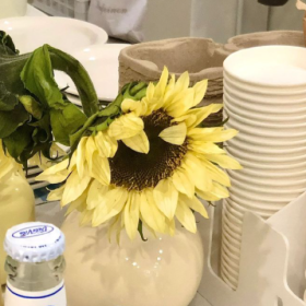 不管是继续求学,还是