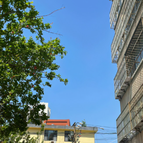 打工人永远在谋生的路