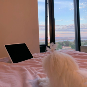 就以我现在的情绪/社