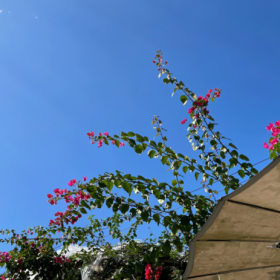 打工人永远在谋生的路