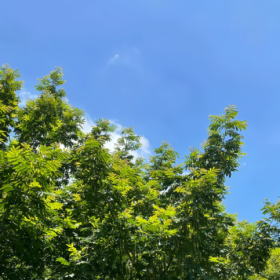 打工人永远在谋生的路