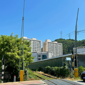 打工人永远在谋生的路