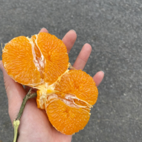 过普普通通的生活,做