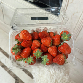 分享图片
