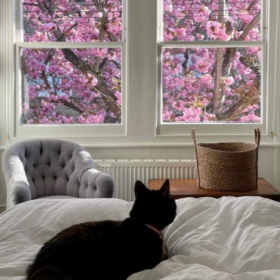 “人不争 一身轻松 