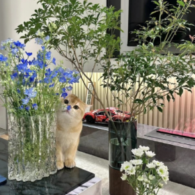 一个人的醒悟，1%靠