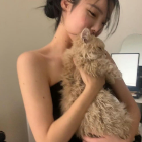 像我这种 既注重细节