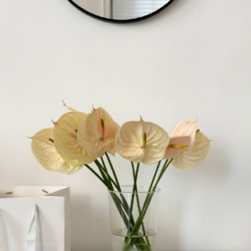 人与人之间, 好像永