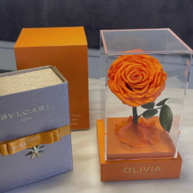 生活如果没有柴米油盐