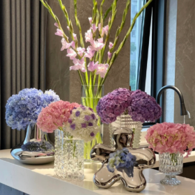 就这一生,看透不如看