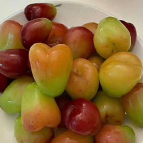 路遥遥，水迢迢，人寥