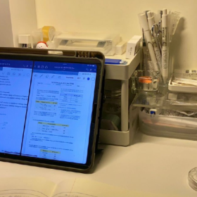 小事你随便闹, 大事