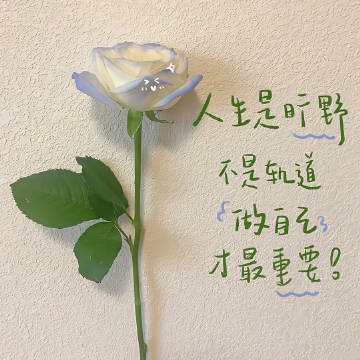 每个人的花期不同