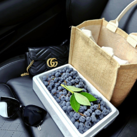 健康的活着 平静的过